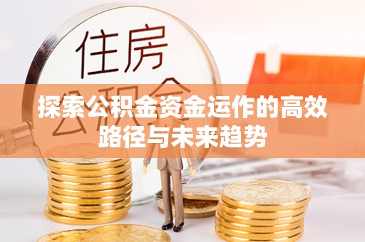 宛城探索公积金资金运作的高效路径与未来趋势