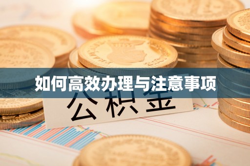 宛城如何高效办理与注意事项