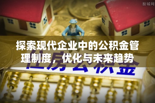 宛城探索现代企业中的公积金管理制度，优化与未来趋势