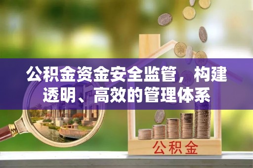 宛城公积金资金安全监管，构建透明、高效的管理体系