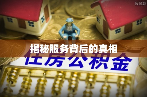 宛城揭秘服务背后的真相