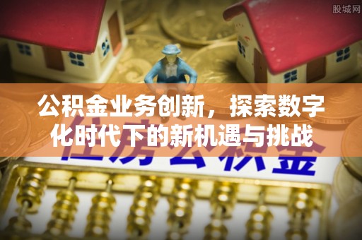 宛城公积金业务创新，探索数字化时代下的新机遇与挑战
