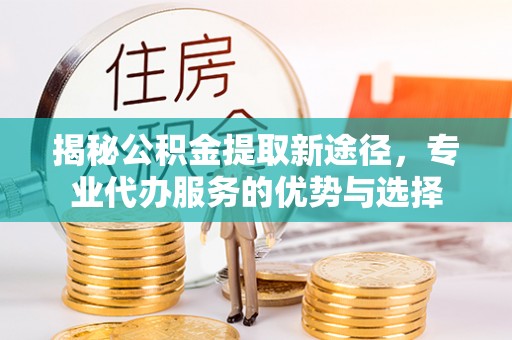 宛城揭秘公积金提取新途径，专业代办服务的优势与选择