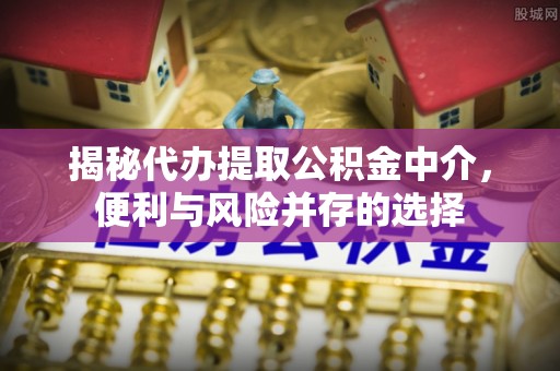 宛城揭秘代办提取公积金中介，便利与风险并存的选择
