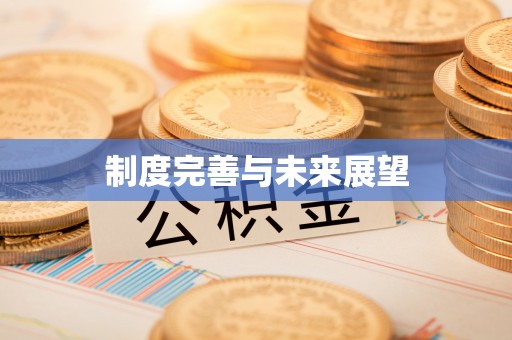 宛城制度完善与未来展望