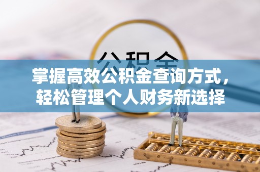 宛城掌握高效公积金查询方式，轻松管理个人财务新选择