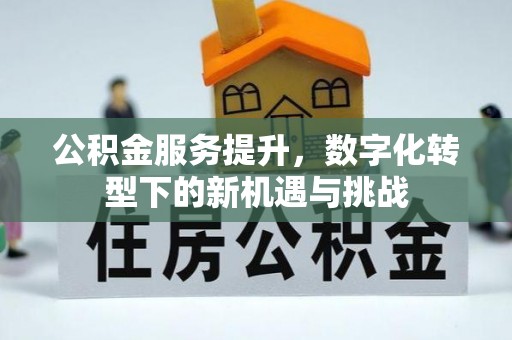 宛城公积金服务提升，数字化转型下的新机遇与挑战