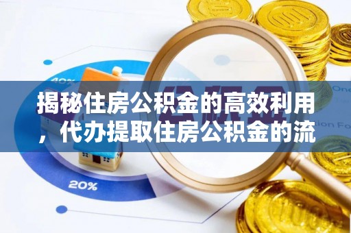 宛城揭秘住房公积金的高效利用，代办提取住房公积金的流程与技巧