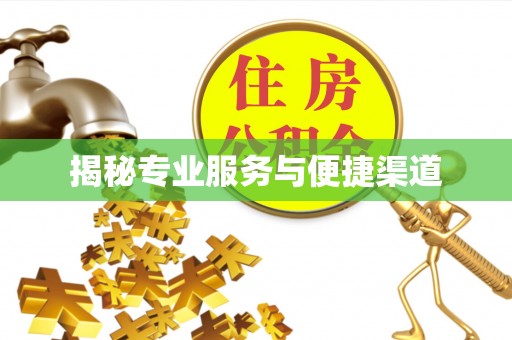 宛城揭秘专业服务与便捷渠道