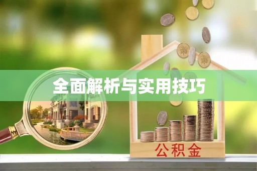 宛城全面解析与实用技巧