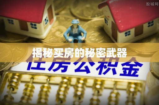宛城揭秘买房的秘密武器
