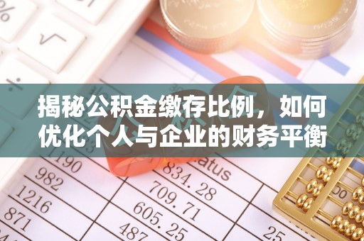 宛城揭秘公积金缴存比例，如何优化个人与企业的财务平衡