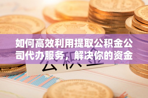 宛城如何高效利用提取公积金公司代办服务，解决你的资金难题
