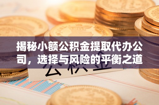 宛城揭秘小额公积金提取代办公司，选择与风险的平衡之道