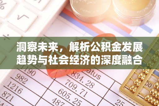 宛城洞察未来，解析公积金发展趋势与社会经济的深度融合