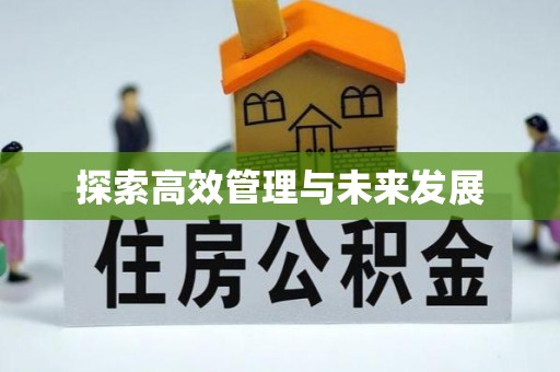 宛城探索高效管理与未来发展