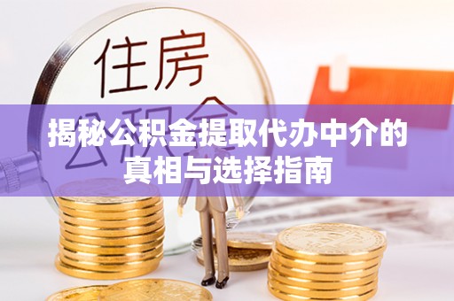 宛城揭秘公积金提取代办中介的真相与选择指南