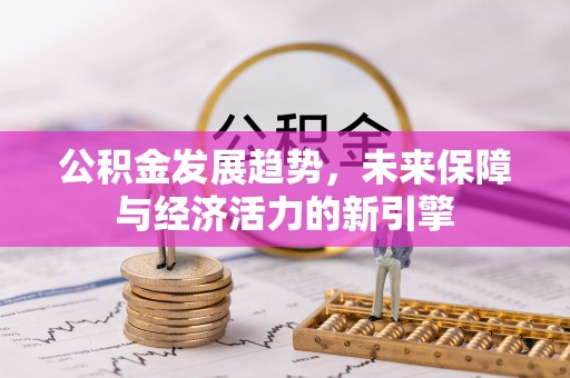 宛城公积金发展趋势，未来保障与经济活力的新引擎