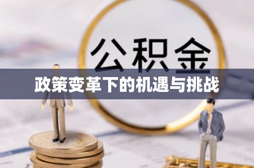 宛城政策变革下的机遇与挑战