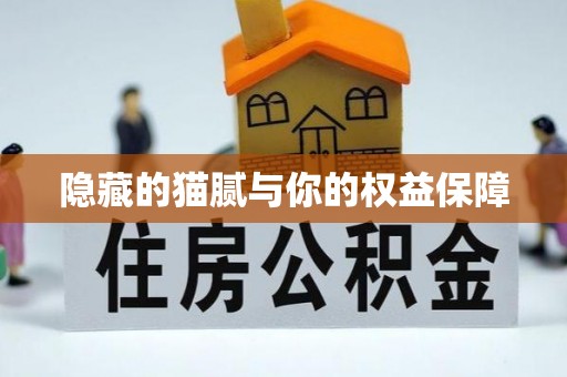 宛城隐藏的猫腻与你的权益保障