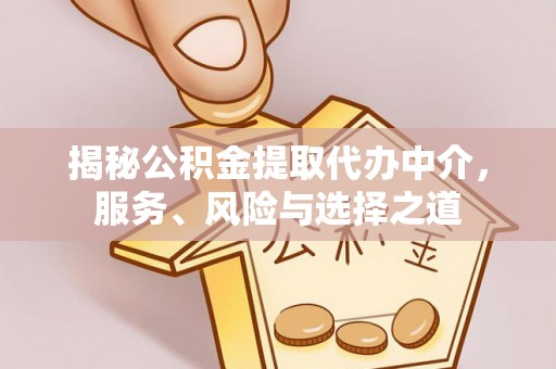 宛城揭秘公积金提取代办中介，服务、风险与选择之道