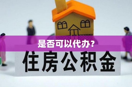 宛城是否可以代办？