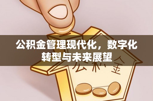 宛城公积金管理现代化，数字化转型与未来展望