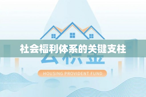 宛城社会福利体系的关键支柱