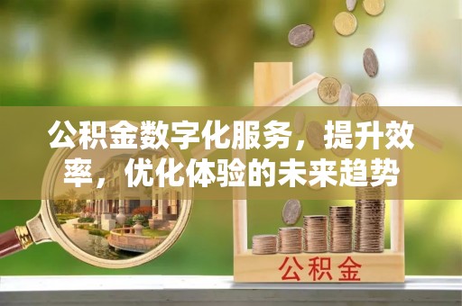 宛城公积金数字化服务，提升效率，优化体验的未来趋势