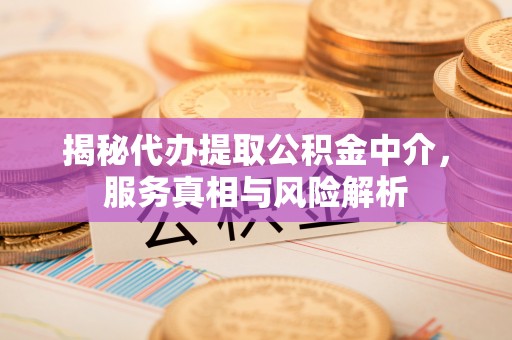 宛城揭秘代办提取公积金中介，服务真相与风险解析