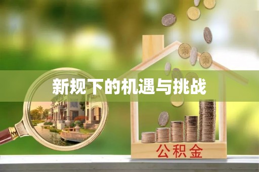 宛城新规下的机遇与挑战