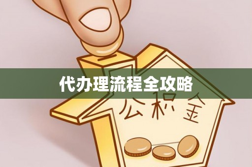宛城代办理流程全攻略