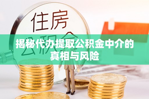 宛城揭秘代办提取公积金中介的真相与风险