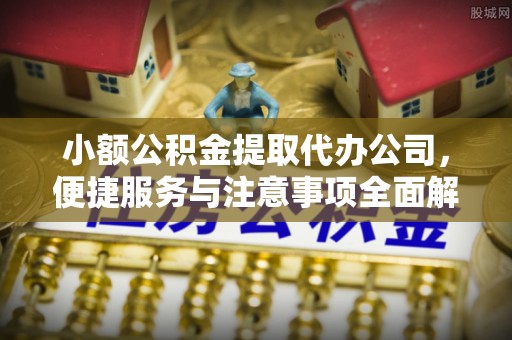 宛城小额公积金提取代办公司，便捷服务与注意事项全面解析