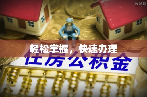 宛城轻松掌握，快速办理