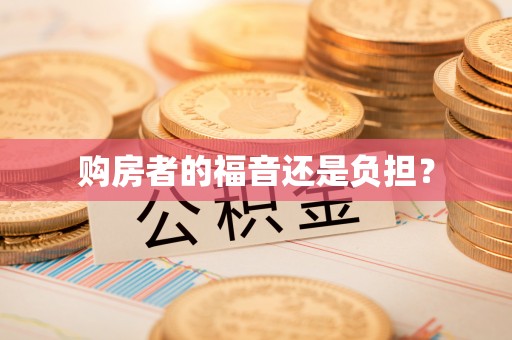 宛城购房者的福音还是负担？