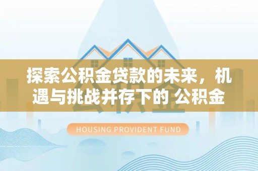 宛城探索公积金贷款的未来，机遇与挑战并存下的 公积金贷款风险防控