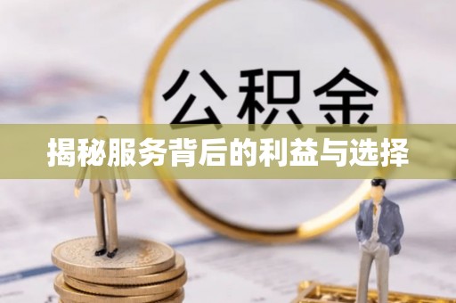 宛城揭秘服务背后的利益与选择