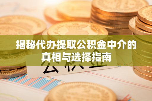 宛城揭秘代办提取公积金中介的真相与选择指南
