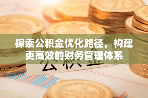 宛城探索公积金优化路径，构建更高效的财务管理体系