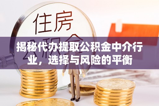 宛城揭秘代办提取公积金中介行业，选择与风险的平衡